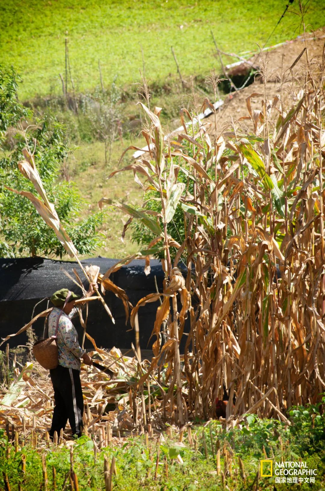 大隐之地，丙中洛