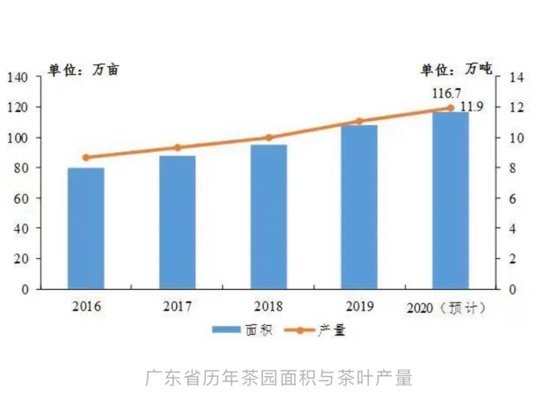 2020年广东省茶叶产销形势分析报告出炉