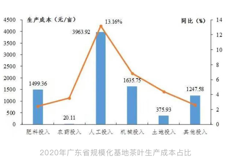 2020年广东省茶叶产销形势分析报告出炉