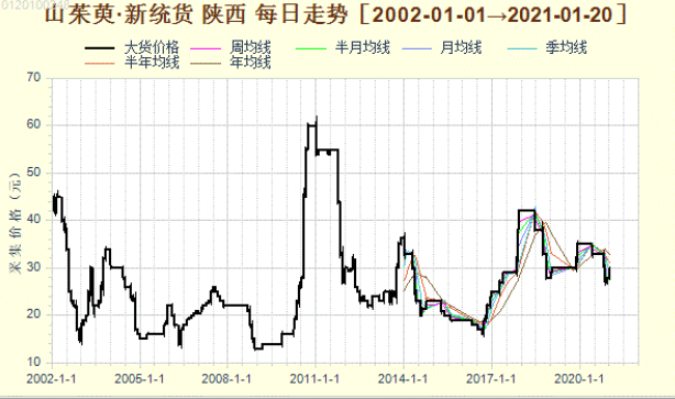 产新结束的山茱萸走向何方？