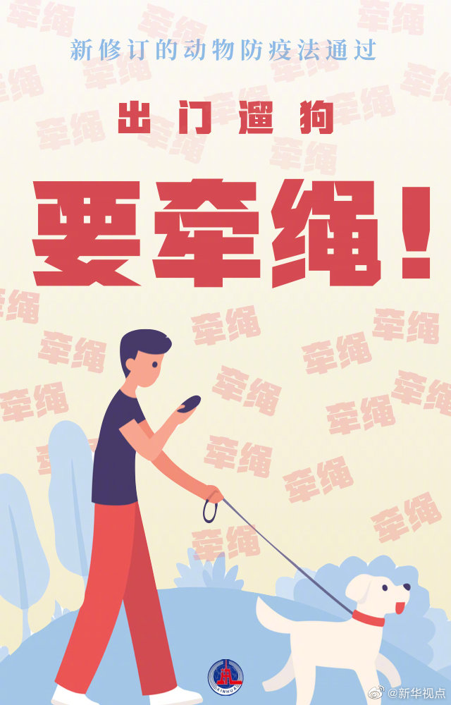 防疫|新动物防疫法规定出门遛狗要牵绳