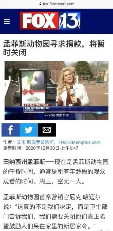都沒熊樣了！旅美大熊貓居然瘦成皮包骨？官方回應(yīng)