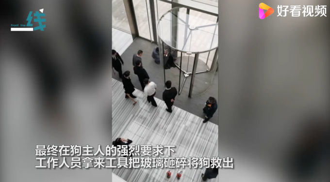 寵物狗被卡旋轉(zhuǎn)門女子倒地哭喊!物業(yè)無奈拆門:違規(guī)進(jìn)入還不牽繩