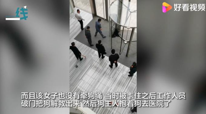 寵物狗被卡旋轉(zhuǎn)門女子倒地哭喊!物業(yè)無奈拆門:違規(guī)進(jìn)入還不牽繩