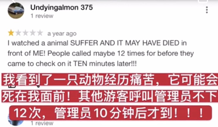 都沒熊樣了！旅美大熊貓居然瘦成皮包骨？官方回應(yīng)