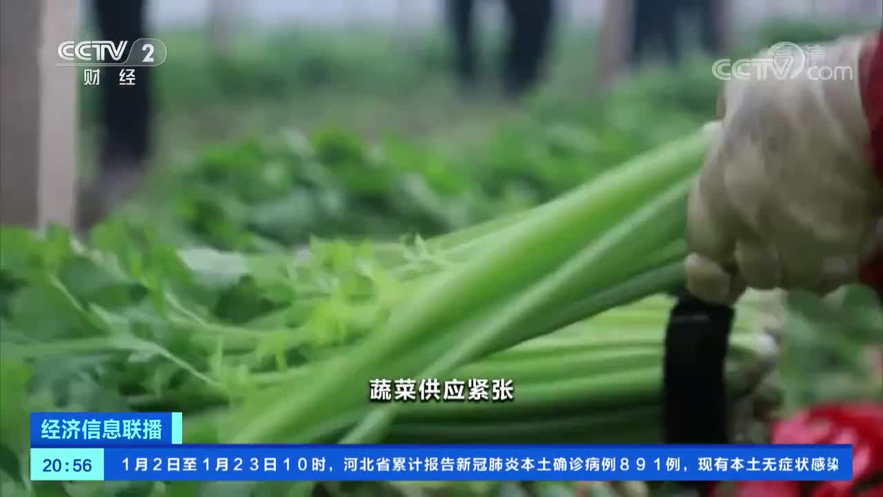 涨价|辣椒大葱涨价明显 多因素影响蔬菜批发价上行