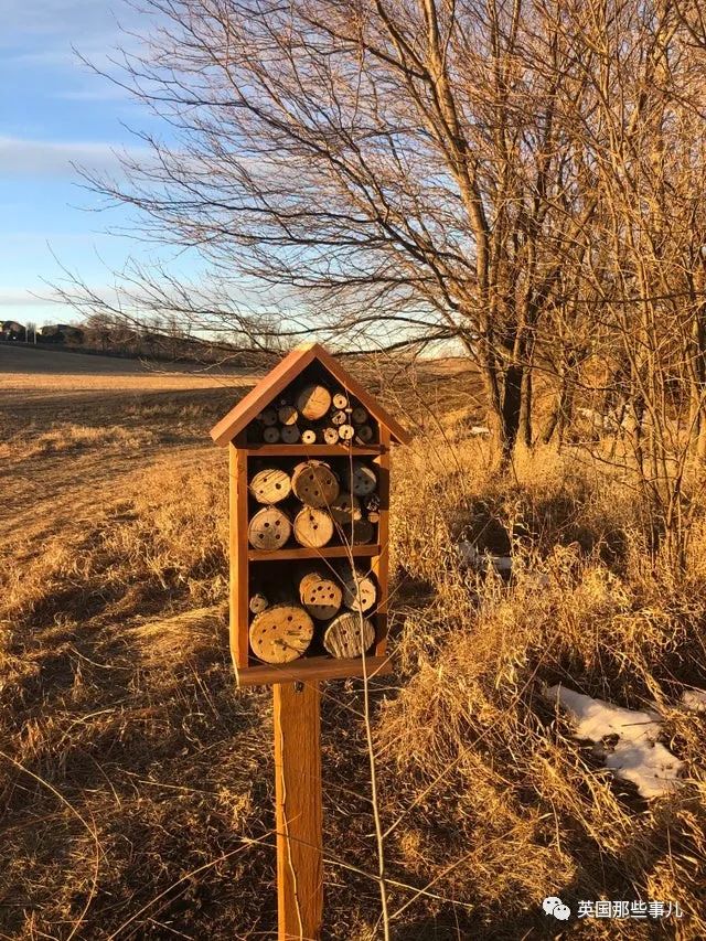 國外大神科普，這些神秘物體到底是啥？奇怪的星空体育官网入口网站又增加啦