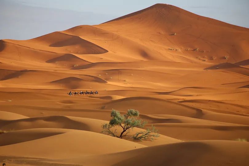 世界自然奇觀名單