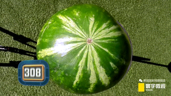 合成大西瓜炸了