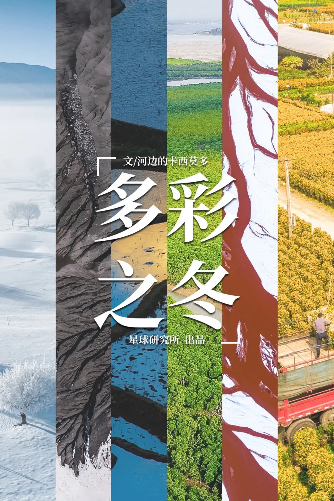 6種色彩，30張圖片，領略冬季之美