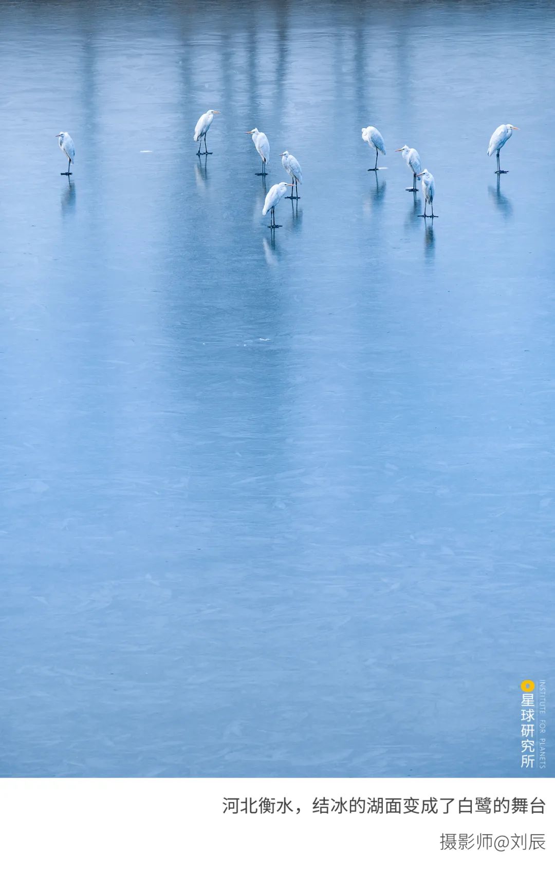 6種色彩，30張圖片，領略冬季之美