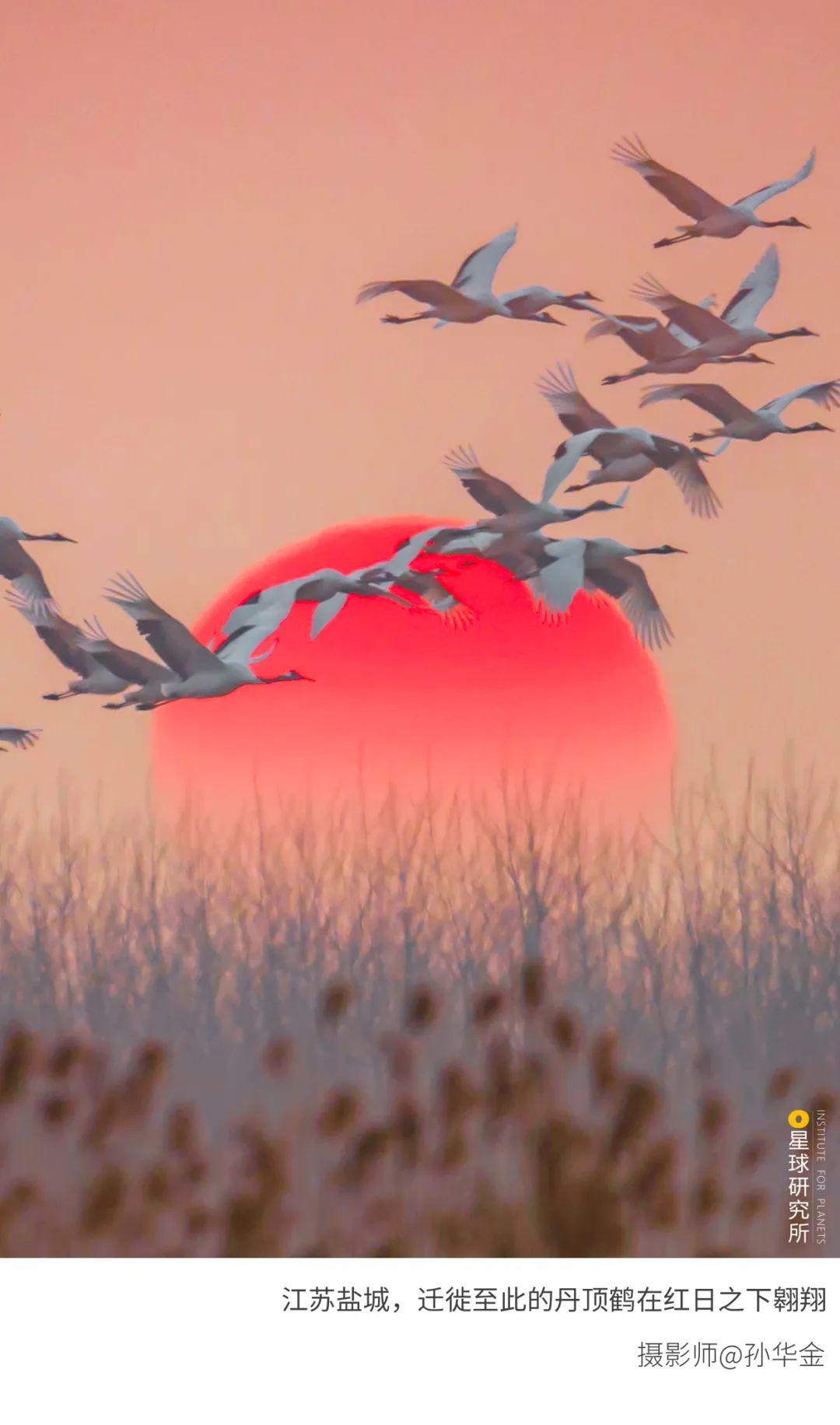 6種色彩，30張圖片，領略冬季之美