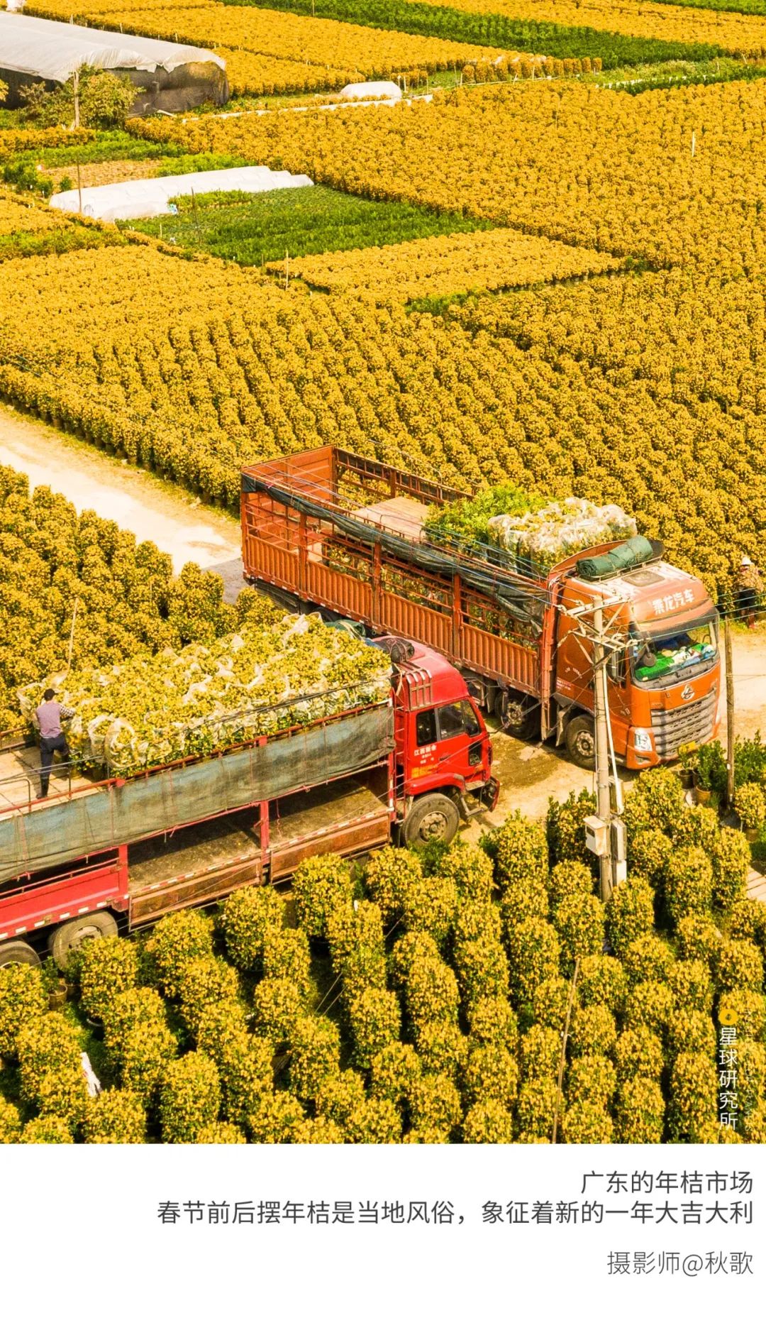 6種色彩，30張圖片，領略冬季之美