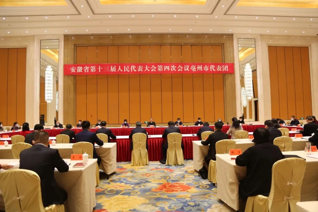 支招！打造世界中医药之都，亳州如何发力？