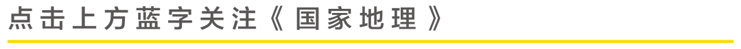 为什么非洲的河马频繁杀人？