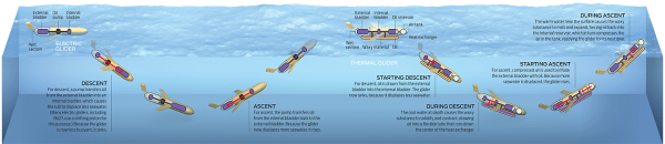 ���㣺�й����������±����ˣ���ֻ�뱣�ֵ͵�