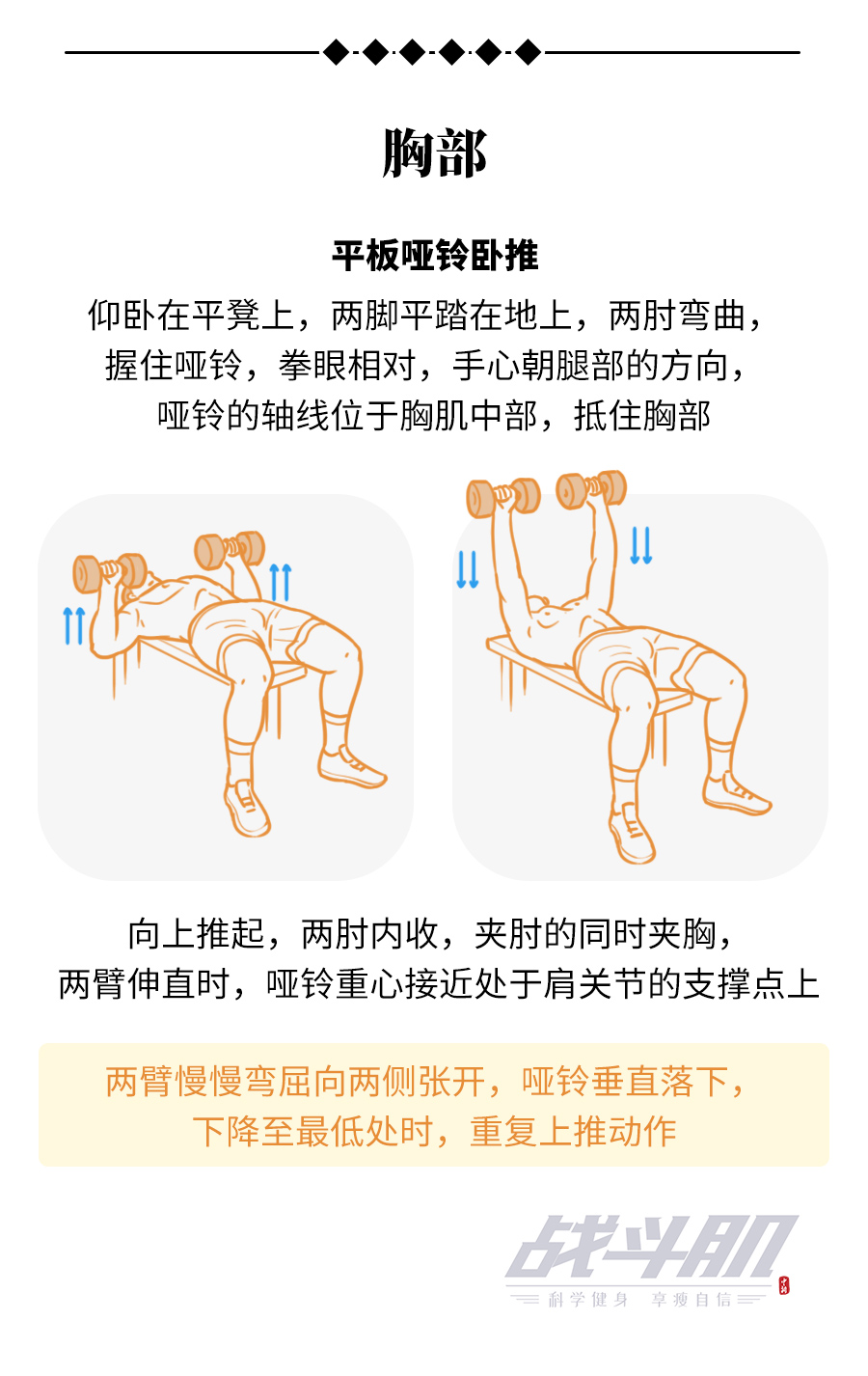 一对哑铃，就能让你拥有彭于晏的身材？