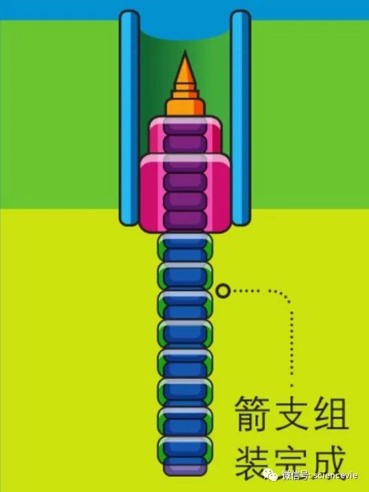 細菌會像人一樣射箭？射完之後還回收箭支