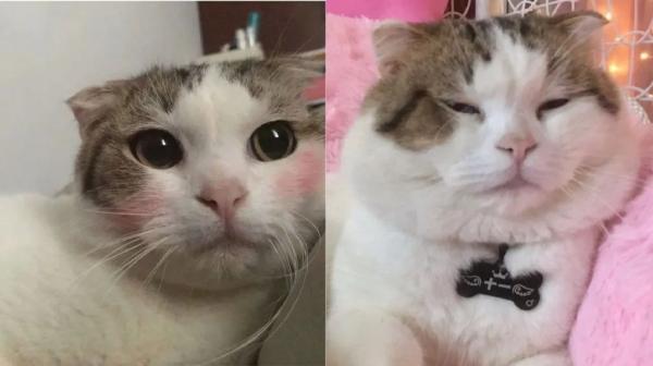 "Tired ugly " fire! Growing uglily so is " inductrial injury " ah...