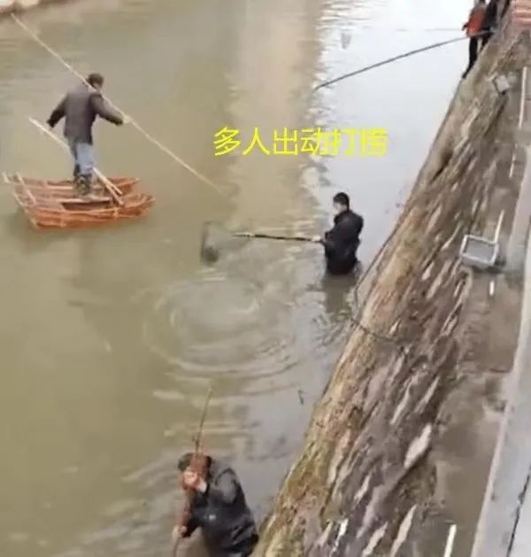 @F(xin)F(xin)