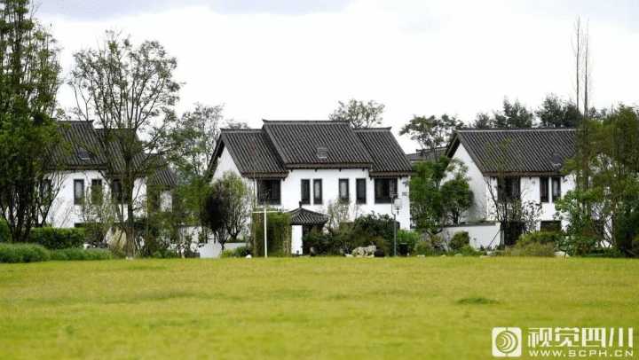 国家乡村振兴局今天以这种方式亮相 新机构有何深意？