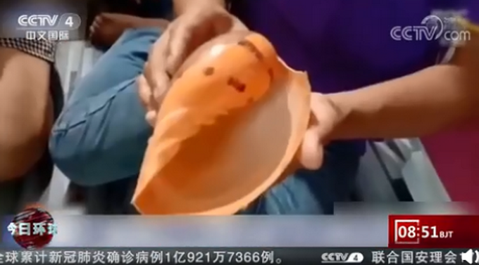 广东一女子饭店吃蚌肉发现珍珠！网友直呼幸运