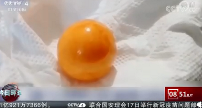 广东一女子饭店吃蚌肉发现珍珠！网友直呼幸运