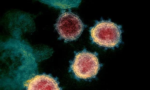 详解全球首个新冠病毒“人体挑战试验”：谁在主导？如何进行？有无必要？
