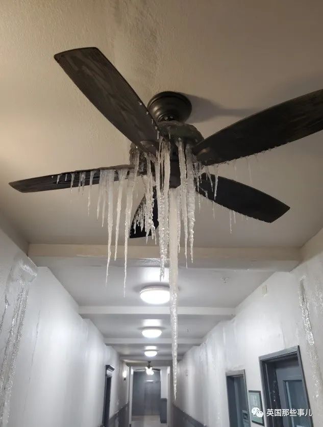 美国人忽然开始流行火烧雪球？他们觉得雪是假