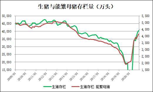 生猪消费旺季近尾声 挺价难度渐加大