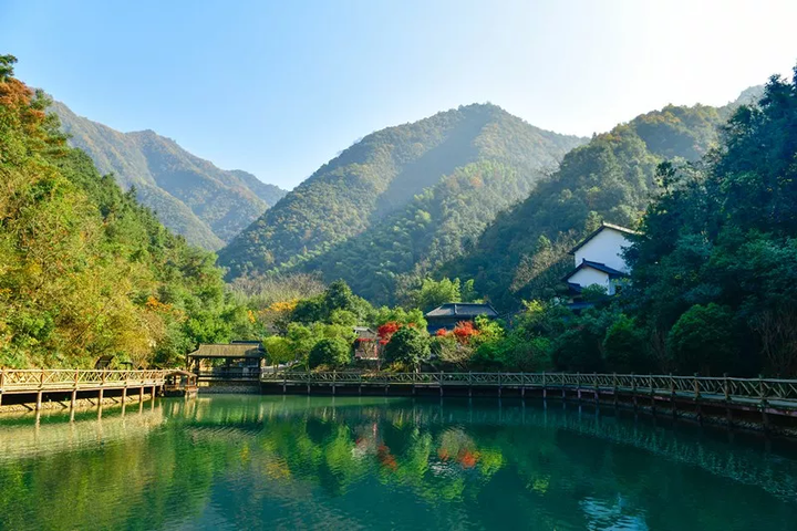 万亩樱花海“织”成粉色天空！当樱花撞上梅花，桐庐天子地“热闹非凡”