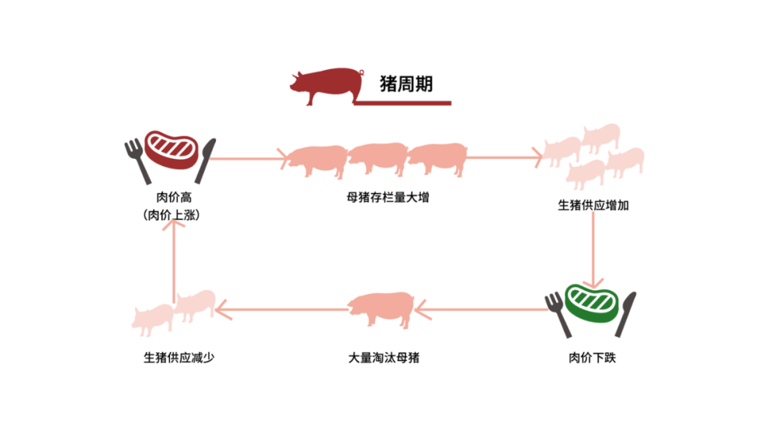 “养猪”正成为科技大厂的新战场