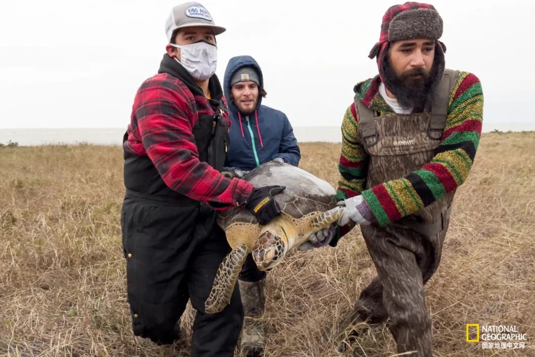 阿富汗這項國技，簡直要命
