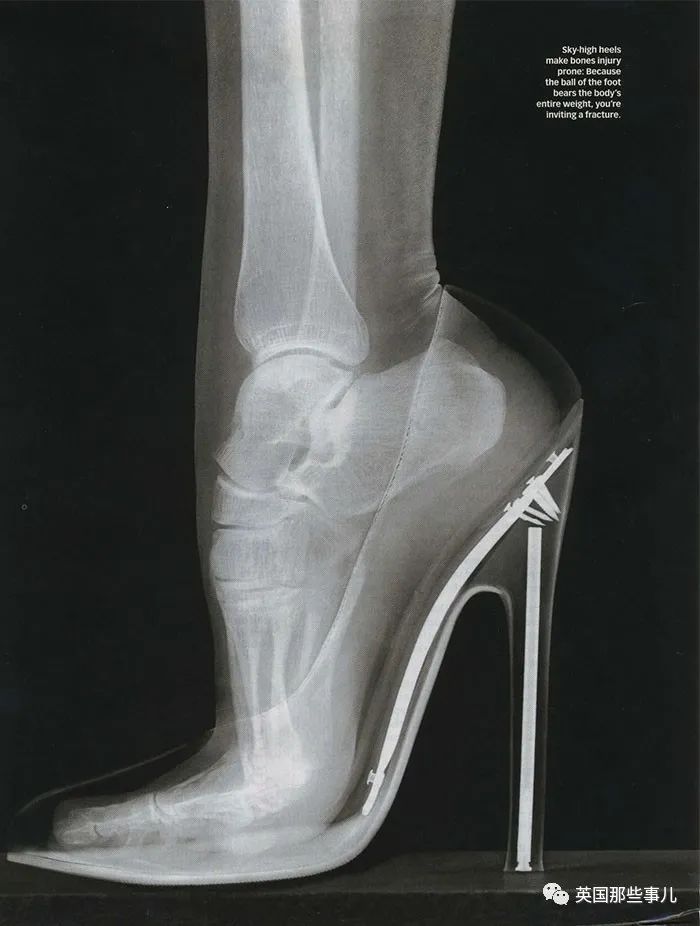 石棺裏藏貓貓，畫下還有另一副畫…X光下的各種物體原來這麽奇妙