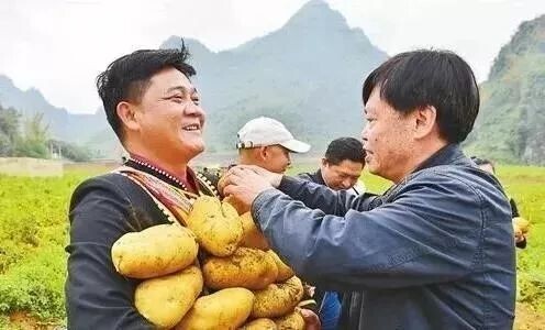 Academician direct seeding takes goods 1 hour to sell 25 tons of potato, netizen comment shined