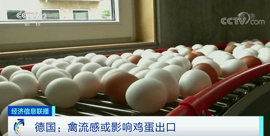 500万只家禽遭扑杀！禽流感疫情暴发，这里不“