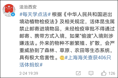 密恐慎入！上海海关查货406只活体蚂蚁，统统藏在一个可疑包裹里