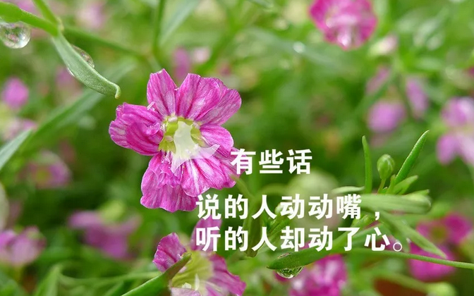 适合三月发朋友圈的经典句子文字图片，新鲜犀利，句句穿心图片