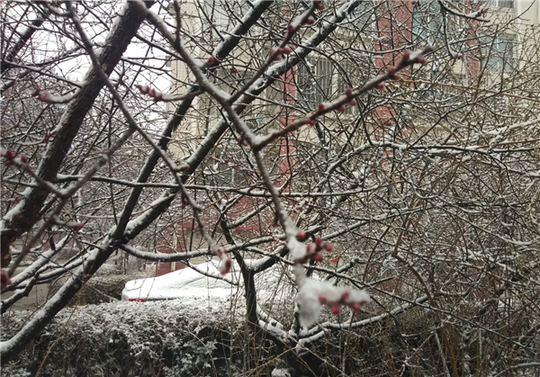 雨雪加大风天气来了！潍坊气象台提醒市民注意出行安全