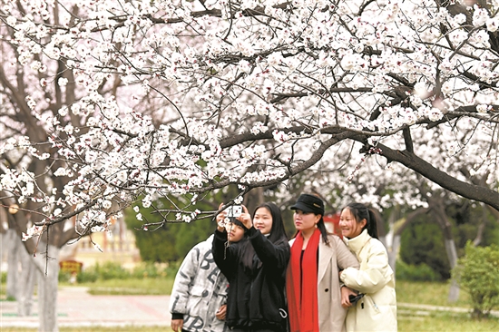 “女神月”来临 属于她们的出游季到了