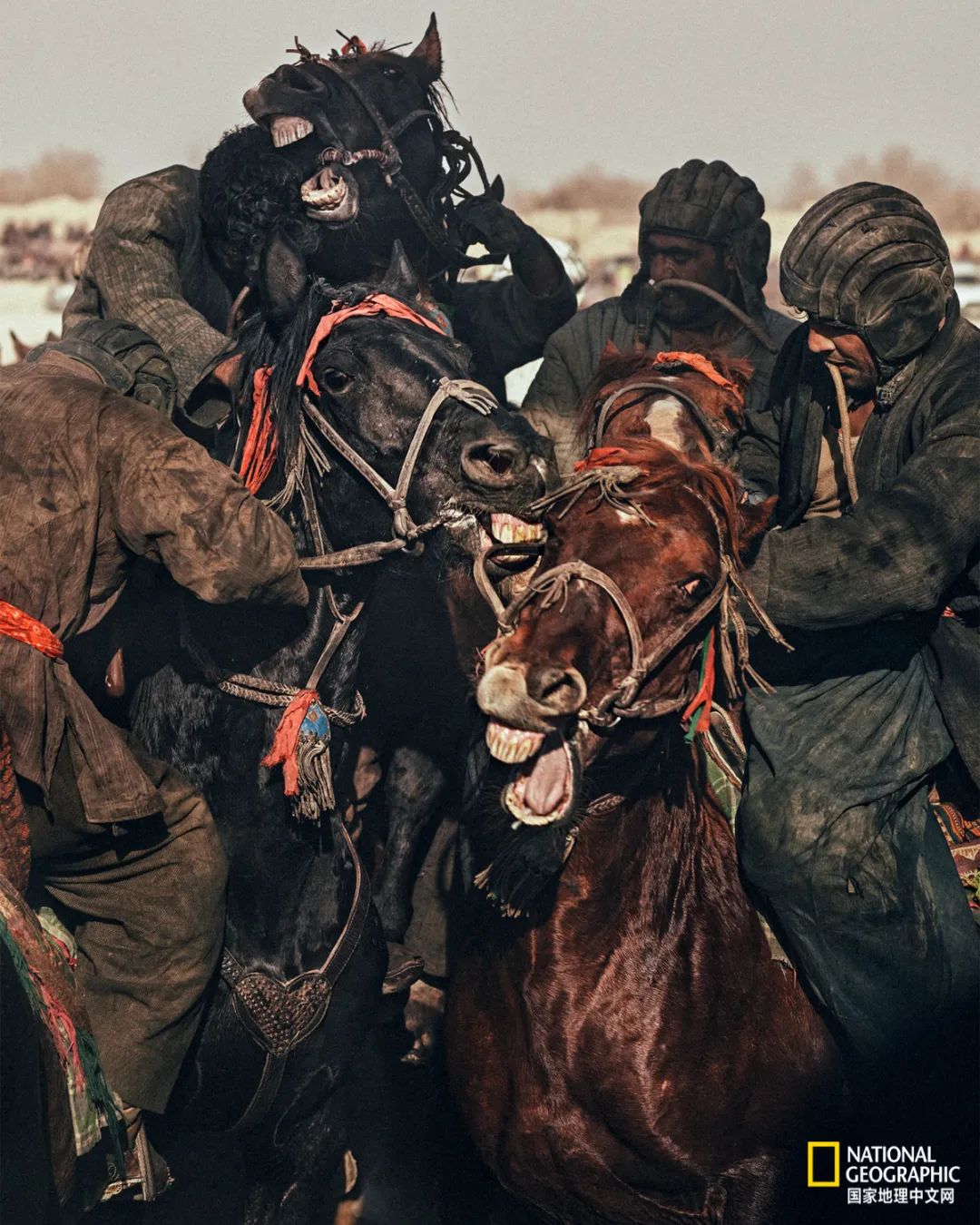 阿富汗這項國技，簡直要命