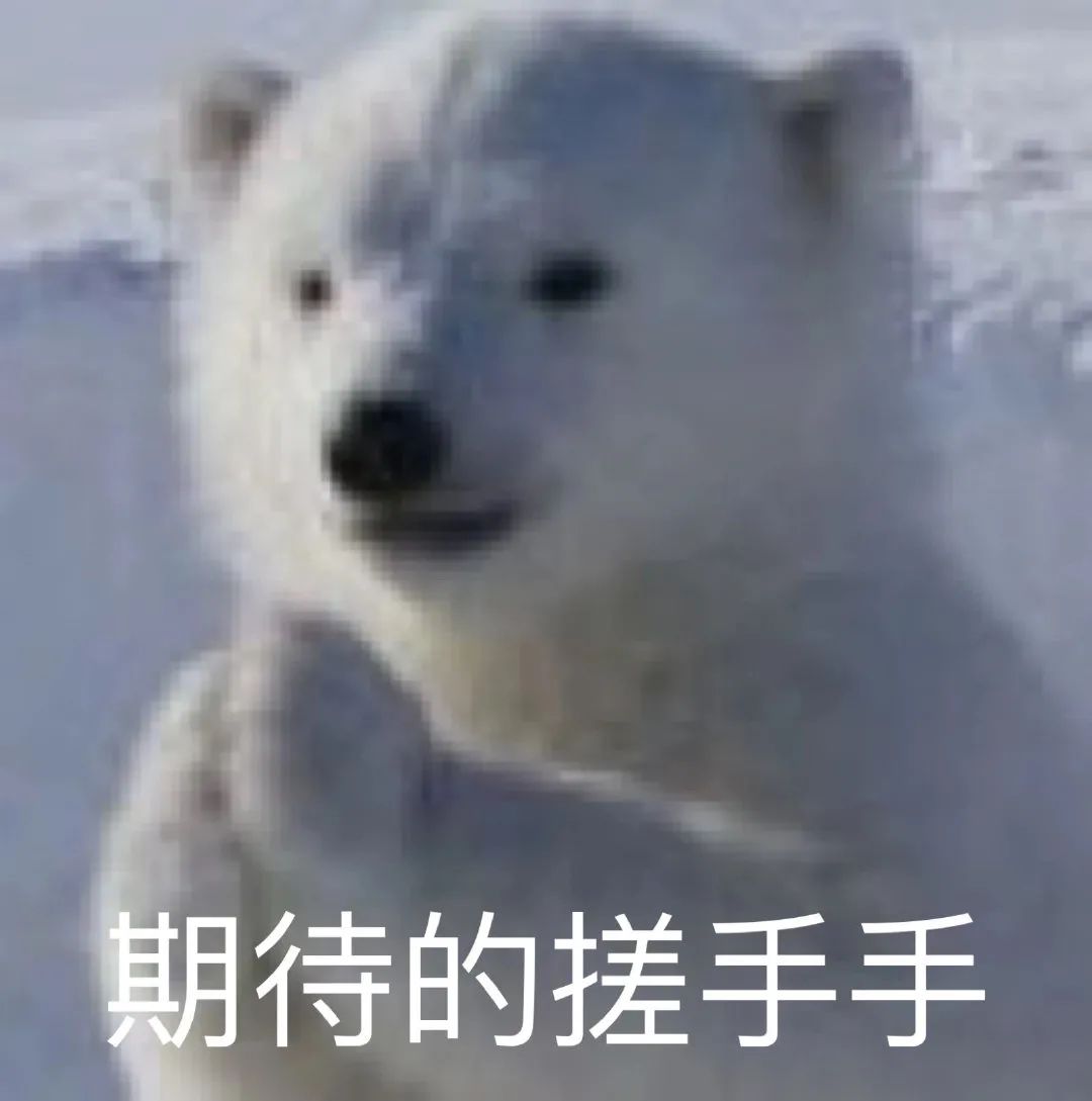 <p><strong toutiao-origin=