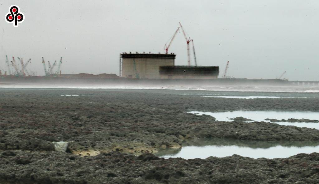 蔣德綱：�藻礁公投�蔡英文與環團的直球對決