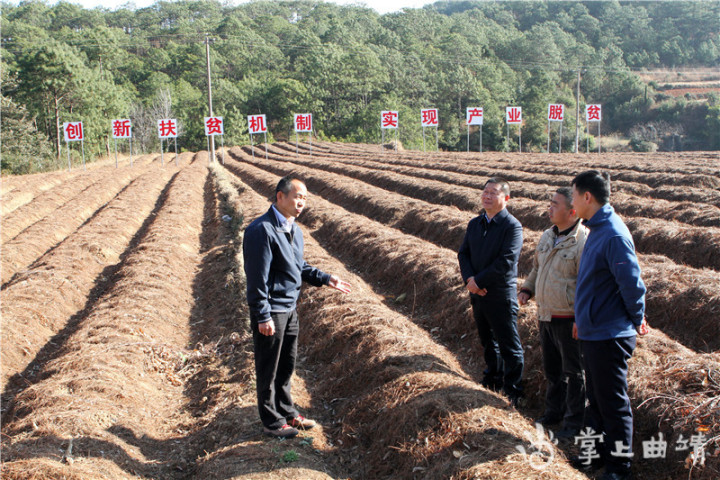 十载扶贫路 乌蒙赤子情——记全国脱贫攻坚先进个人许云华