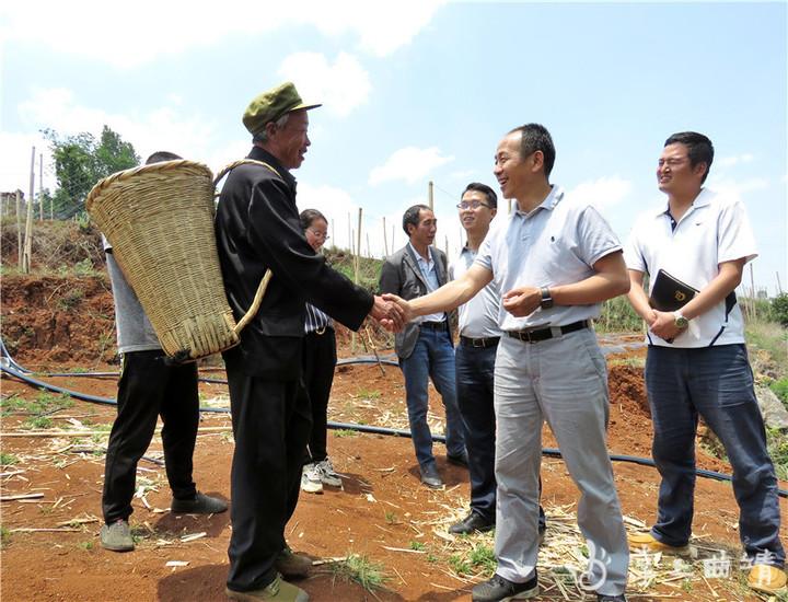 十载扶贫路 乌蒙赤子情——记全国脱贫攻坚先进个人许云华