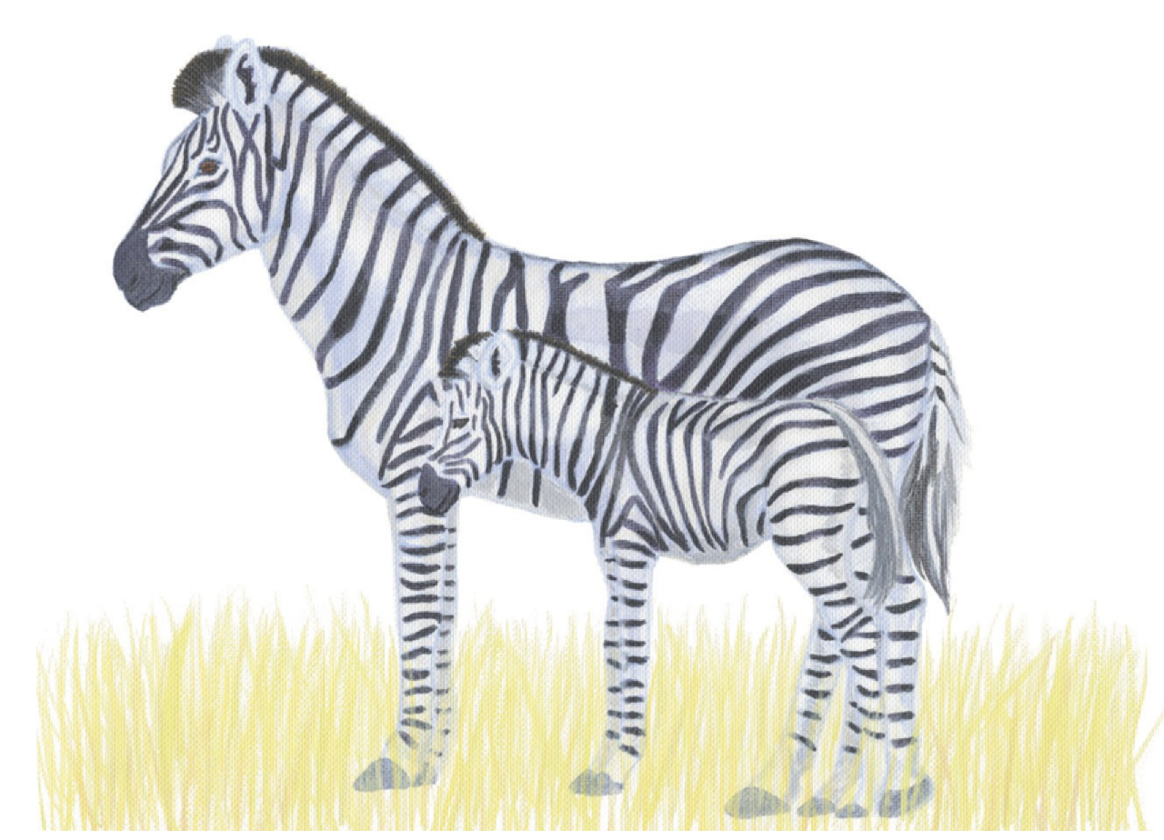 No matter animal, plant still is the mankind, the destiny Piao world that has be closely bound up is tough vivid plant day