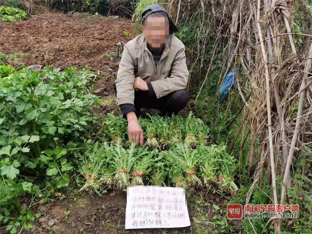 种这种“菜”下饭可能要吃牢饭！全州连查多起