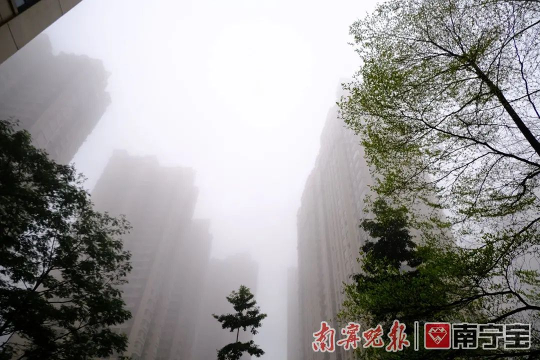 冷空气到访！未来一周南宁的天气以阴雨、雾天气为主