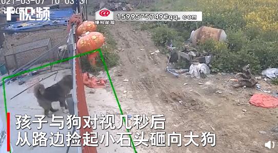 持续|小孩用石头持续挑衅大型犬 大狗被惹怒后破门而出将孩子扑倒在地