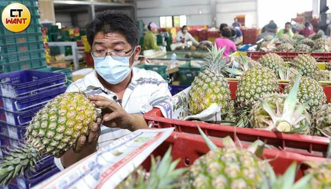 台灣陷菠蘿危機台學者認為有望成兩岸復談轉機